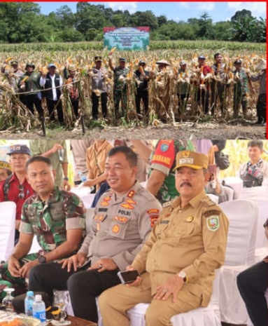 Polsek Sekayam Dorong Ketahanan Pangan Melalui Pembibitan Cabai di Balai Karangan