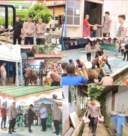 Wujudkan Polri yang Humanis, Polres Sanggau Gelar Pemotongan Hewan Kurban Idul Adha 1446 H
