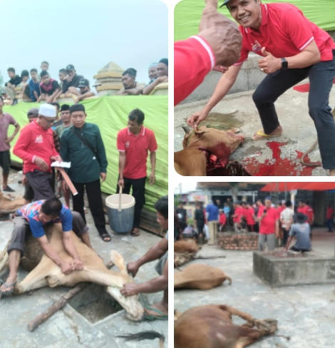 Masjid Al-Huda Tembilahan Laksanakan Penyembelihan 15 Ekor Hewan Qurban