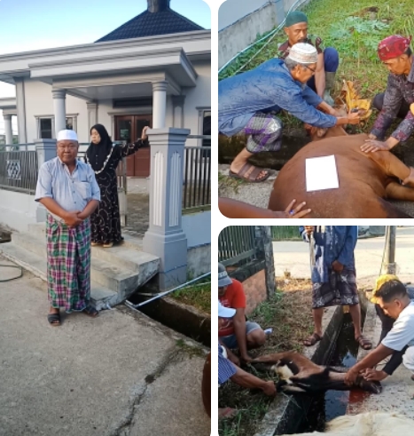 Surau Bin Salim Laksanakan Penyembelihan Hewan Qurban