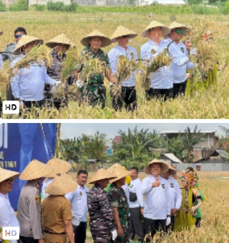 Kalapas Lumajang Hadiri Panen Raya di Lapas Banyuwangi, Dukung Ketahanan Pangan Nasional
