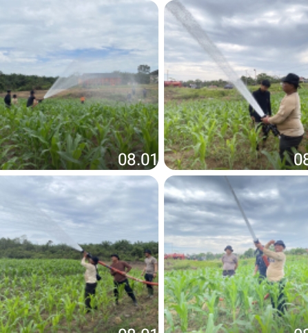 Optimalkan Ketahanan Pangan, Polsek Tayan Hulu Cek Perkembangan Tanaman Jagung di Lahan Demplot