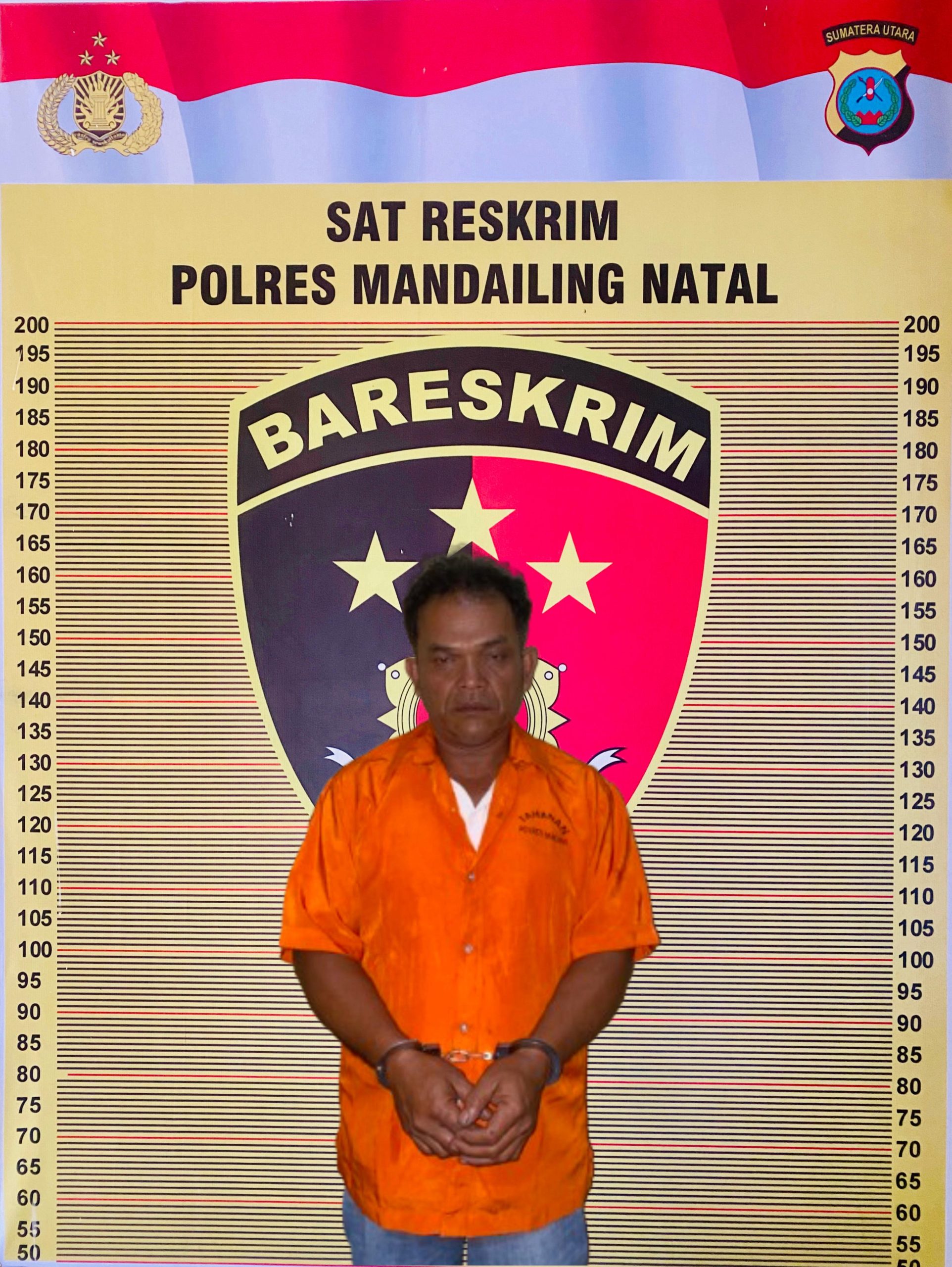 Ancam Bunuh Korban, Pria Beristri di Madina Setubuhi anak Dibawah Umur