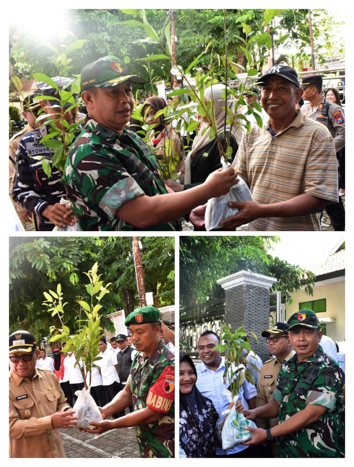 Kasdim 0825/Banyuwangi di Garda Hijau Negeri: Dari Banyuwangi, 2.026 Bibit Ditanam untuk Masa Depan Bumi