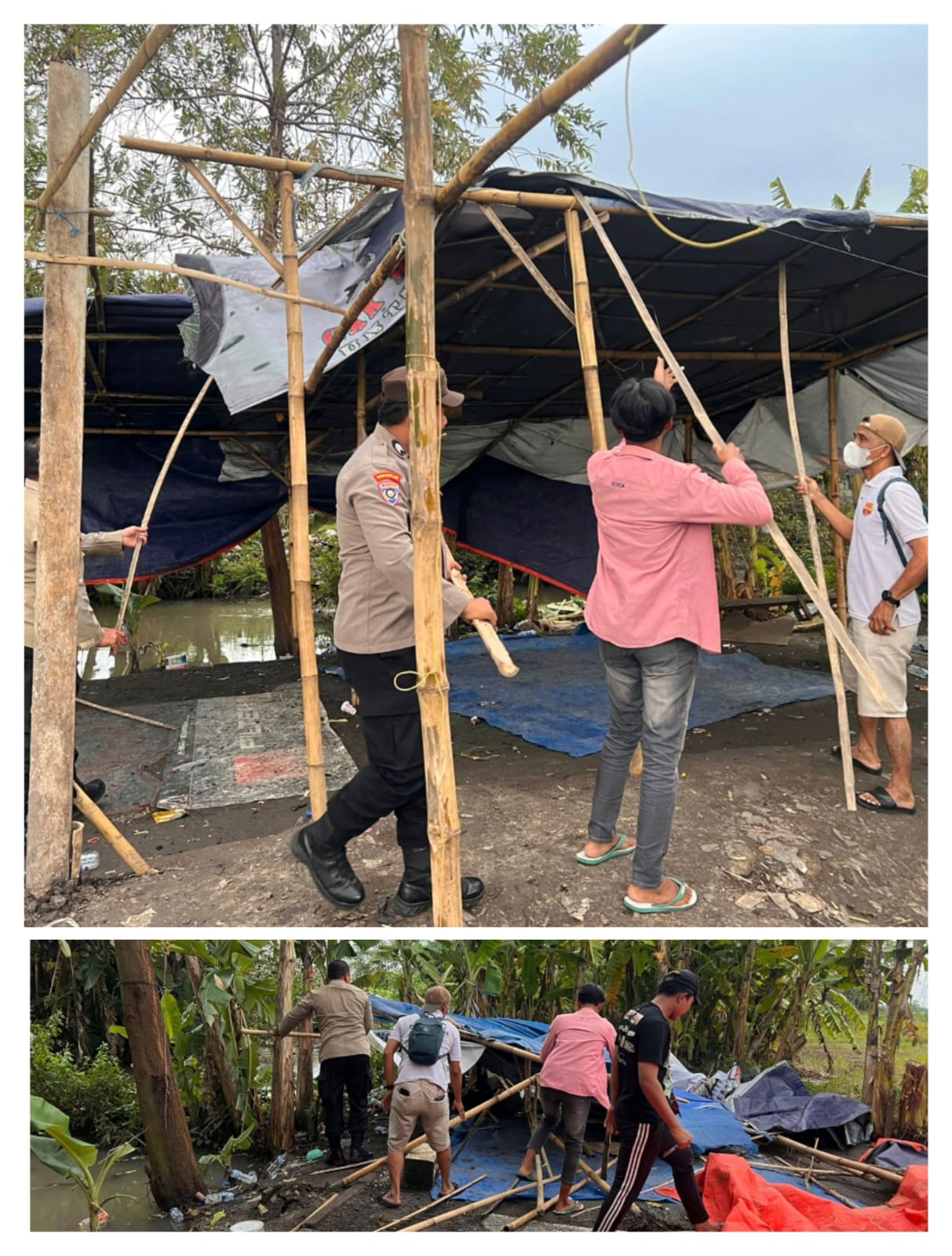 Gerak Cepat 110 Polresta Sidoarjo Bongkar Arena Sabung Ayam di Ploso Krembung