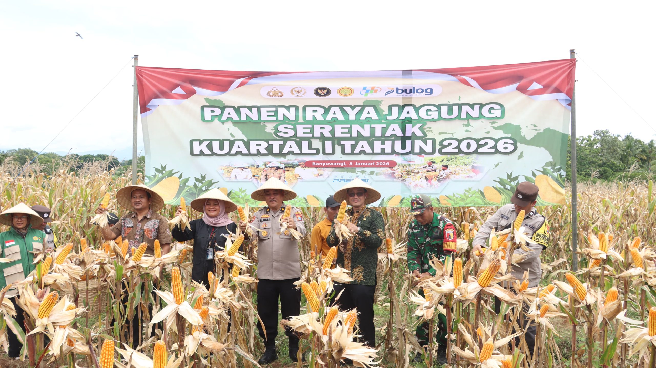 Polresta Banyuwangi Laksanakan Panen Raya Jagung 14 Hektar Kuartal I