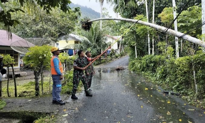 Babinsa Gampong Krueng Raya Sigap Bantu Petugas PLN Atasi Gangguan Listrik Akibat Pohon Tumbang