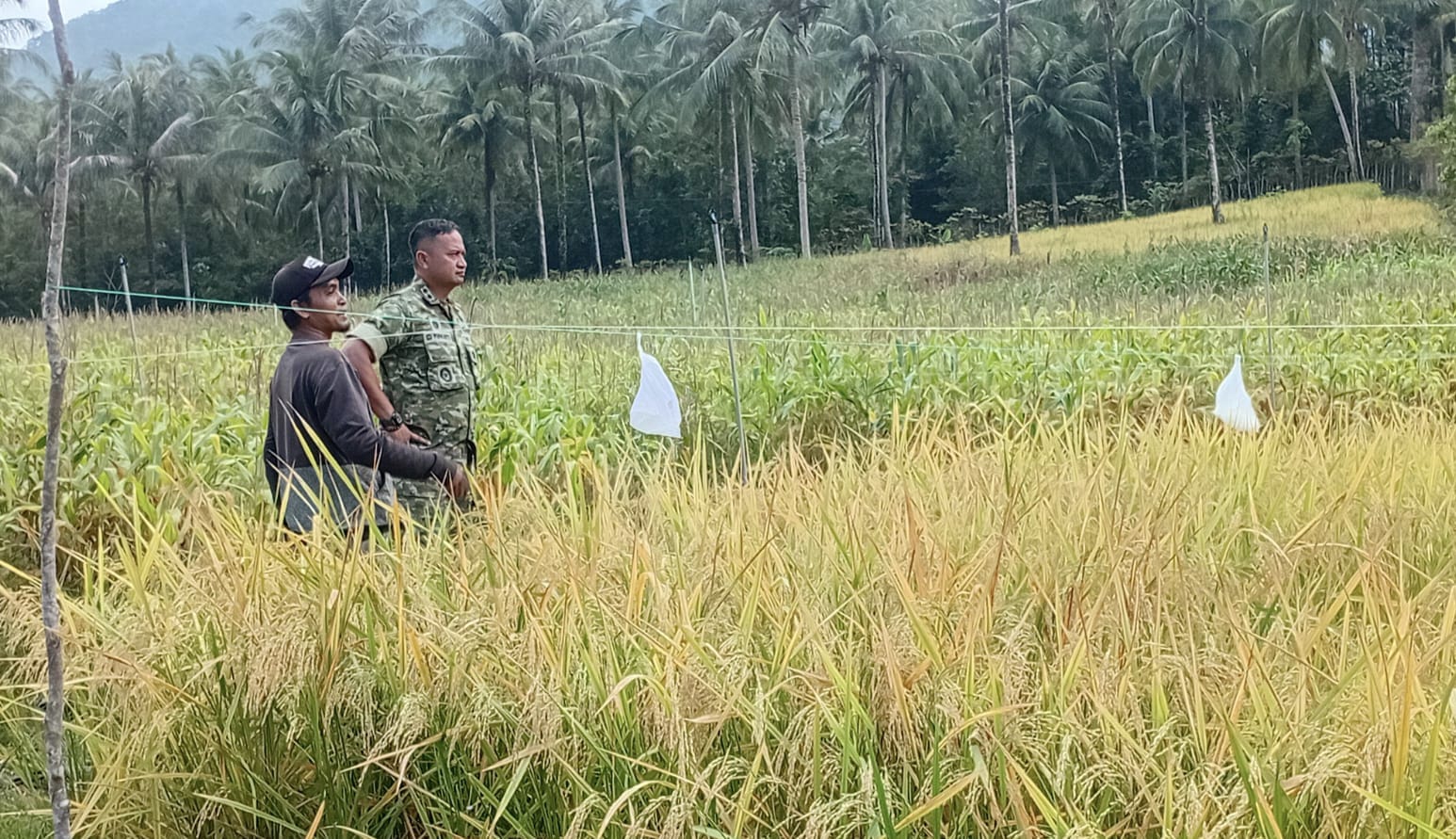 Perkuat Ketahanan Pangan Desa, Dandim 0112/Sabang Tinjau Hanpangan BUMDes Batee Shoek