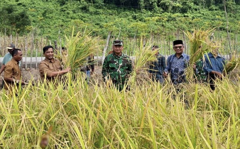 Dandim 0112/Sabang Hadiri Panen Raya Padi Gogo di Gampong Batee Shoek