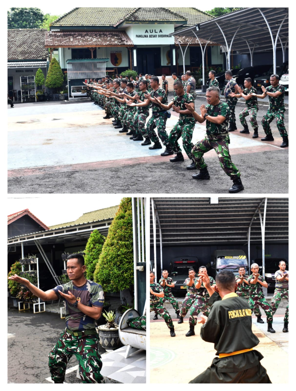 Di Balik Jurus dan Disiplin: Prajurit Kodim 0825 Banyuwangi Menempa Mental Tempur Lewat Pencak Silat Militer