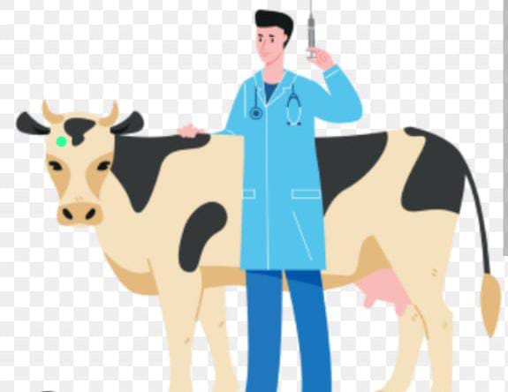 Tangkap Dan copot SK penempatan tugas ( SPt) A.n SUTIKNO petugas ( inseminator Buatan) TERUSAN NYUNYAI LAMTENG