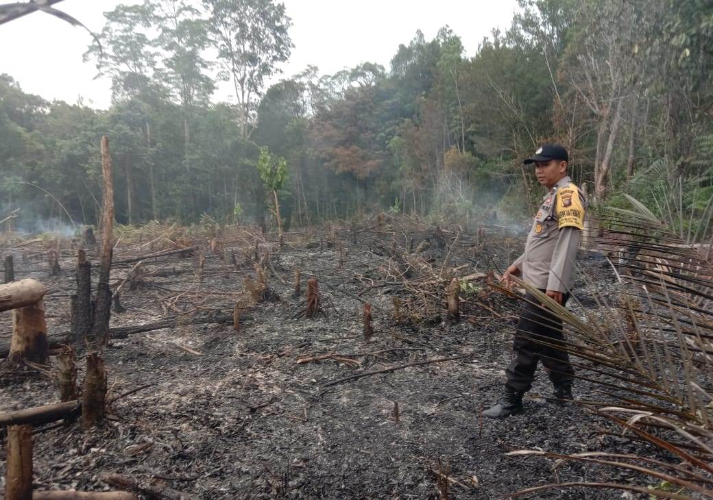 Verifikasi Hotspot BMKG di Tayan Hilir, Polisi Pastikan Tak Ada Titik Api Aktif