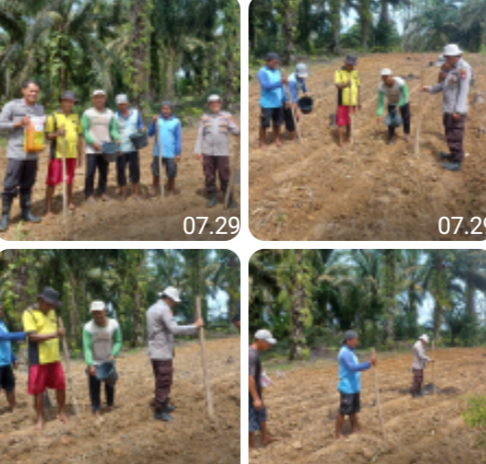 Bersama Petani, Polsek Parindu Optimalkan Lahan Produktif untuk Ketahanan Pangan