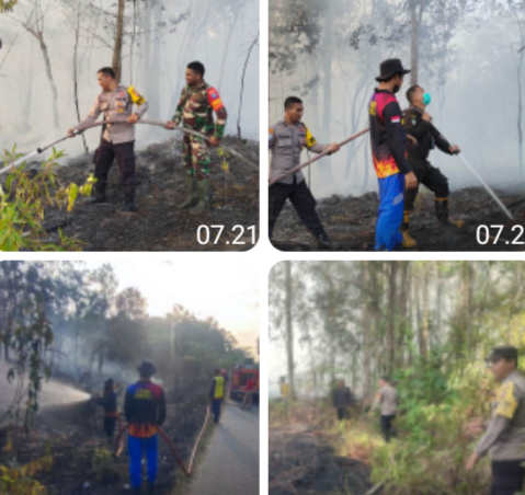 Lahan di Jalur Trans Kalimantan Tayan Hilir Terbakar, Api Diduga Berasal dari Puntung Rokok
