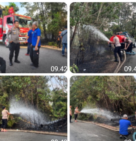 Tim Gabungan Bergerak Cepat Padamkan Karhutla di Kawasan Sabang Merah Sanggau