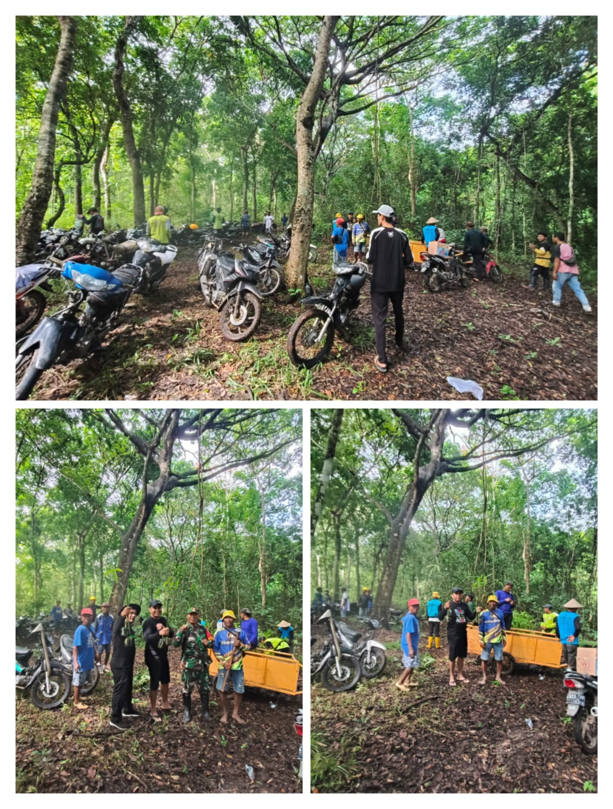 Hijaukan Masa Depan: Babinsa Temurejo Bersama Warga Tanam 1000 Bambu Petung dan Revitalisasi Mata Air Bersejarah “Belik Karyo”