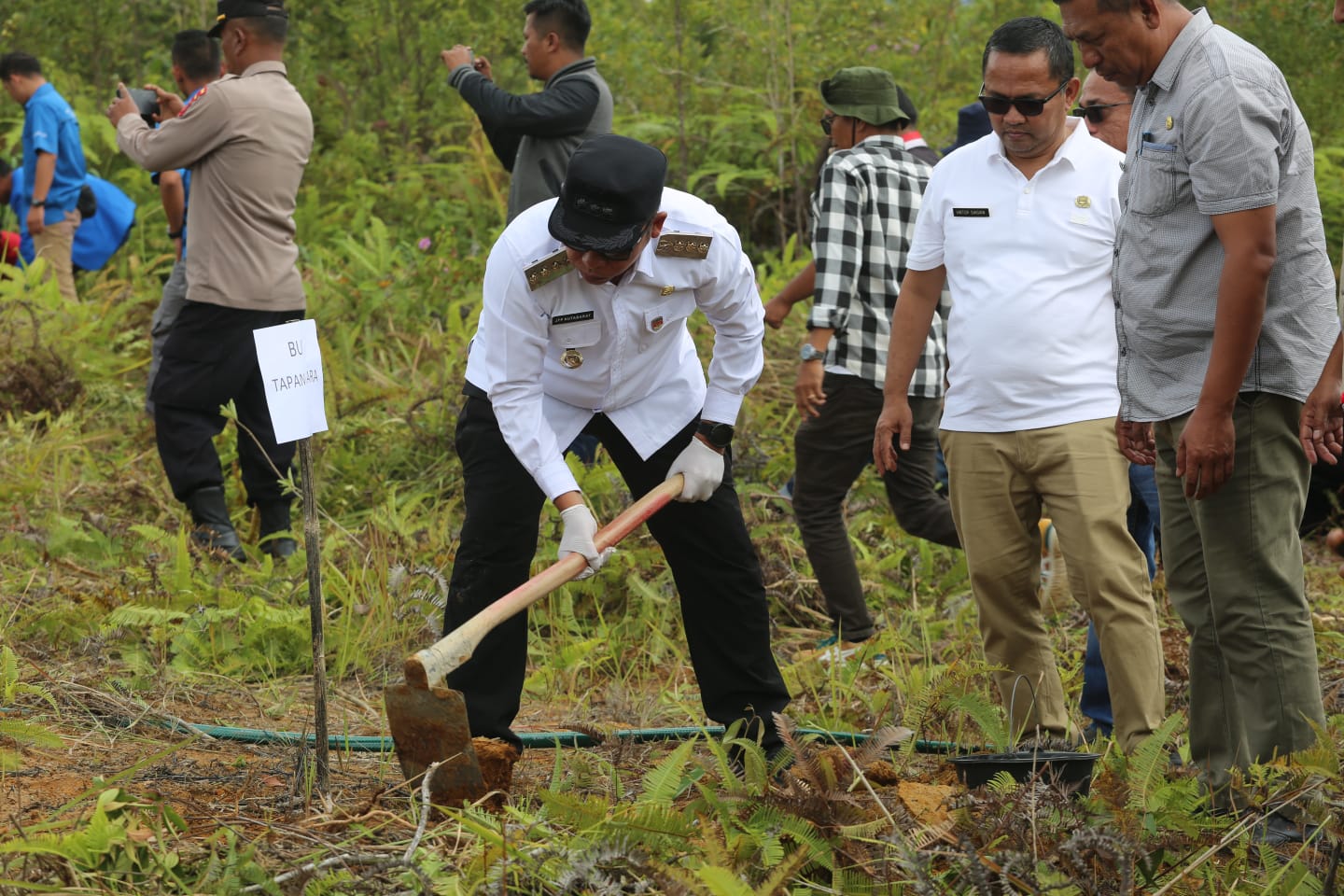‎Bupati Tapanuli Utara Canangkan Penanaman Sejuta Pohon Durian untuk Pemulihan Pascabencana