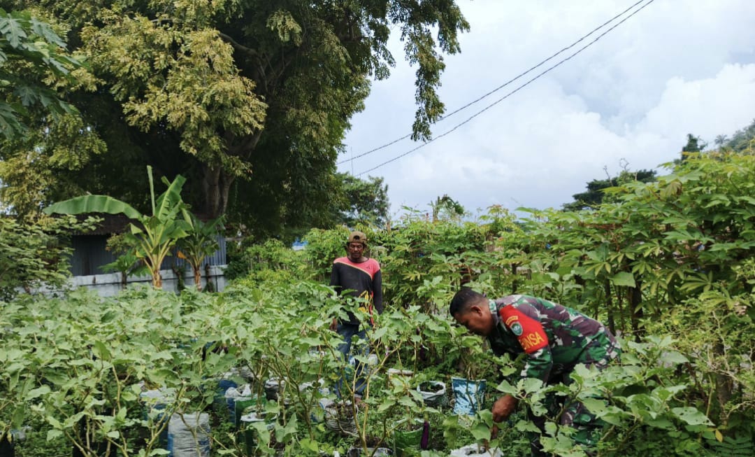 Babinsa Koramil 02/Sukakarya Dampingi Warga Bersihkan Lahan Tanaman Terong di Gampong Kuta Barat