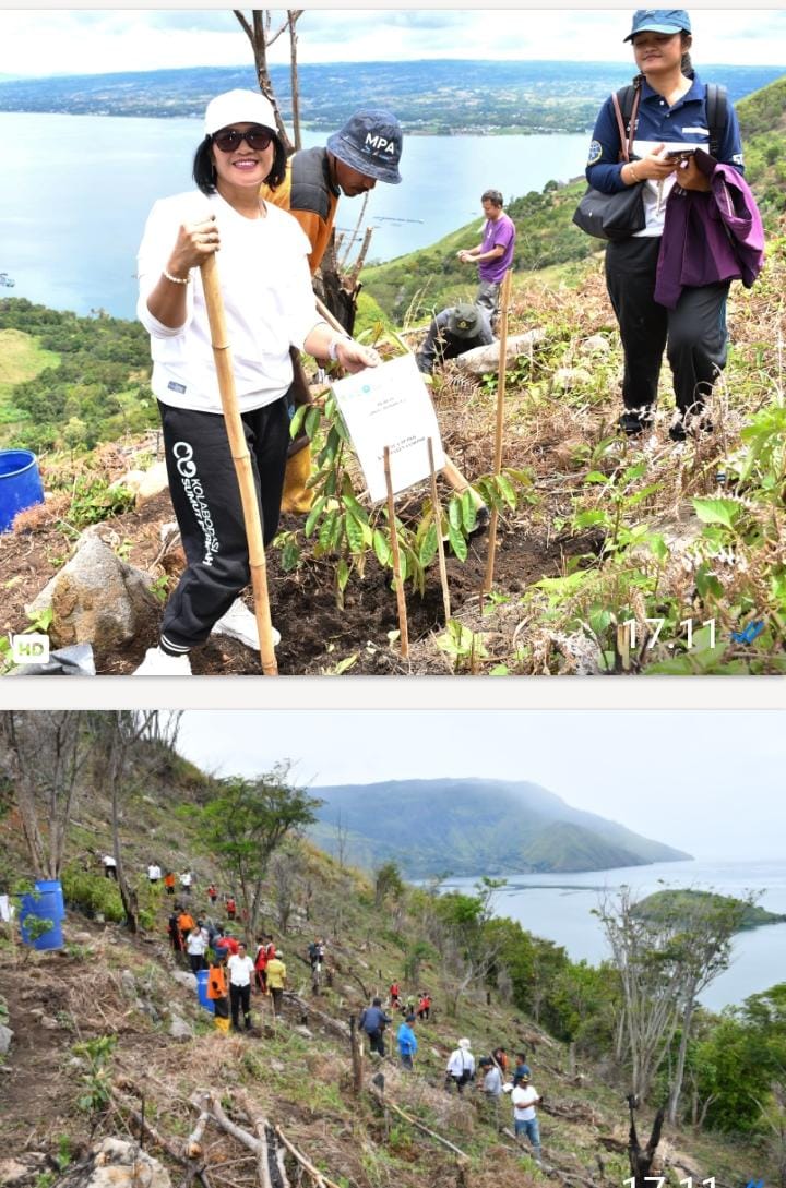 Wabup Samosir Tanam Pohon di Lereng Gunung Pusuk Buhit, Perkuat Komitmen Pelestarian Alam