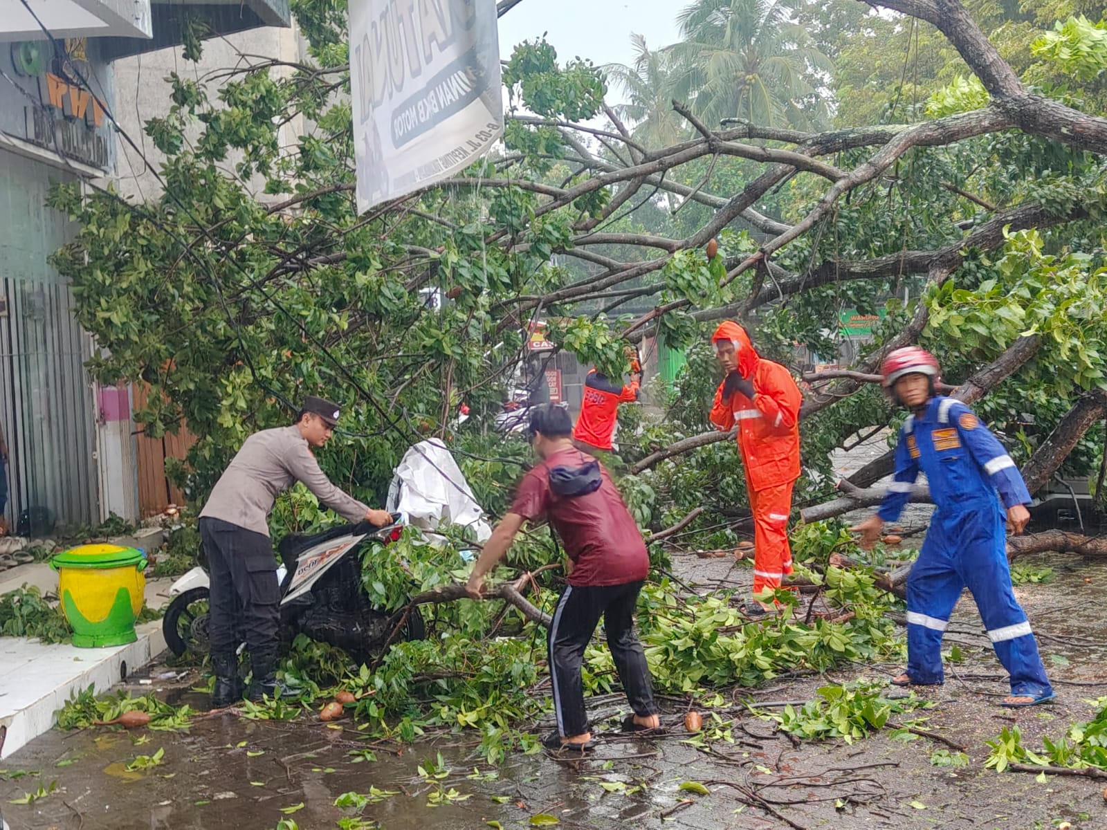 Polsek Banyuwangi Bersama Instansi Terkait Gerak Cepat Evakuasi Pohon Tumbang Pasca Hujan Lebat di Jl. Kepiting*