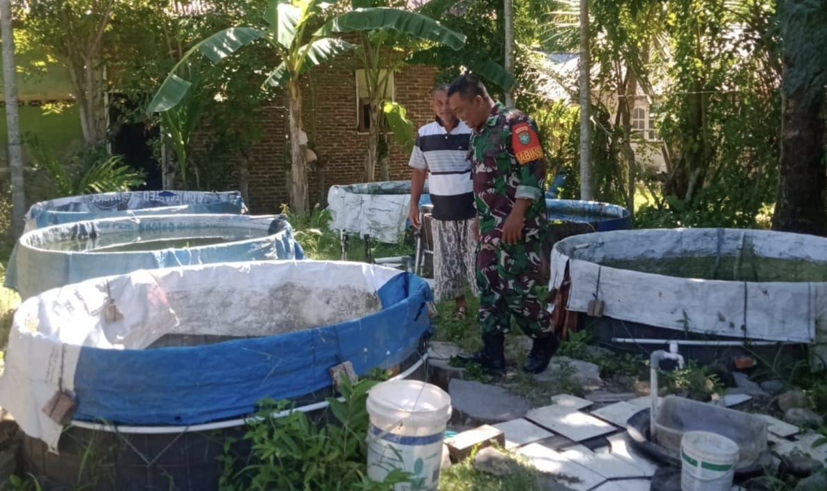 Babinsa Kuta Timu Optimalkan Potensi Sumber Air, Dorong Pembibitan Lele Warga Lebih Produktif
