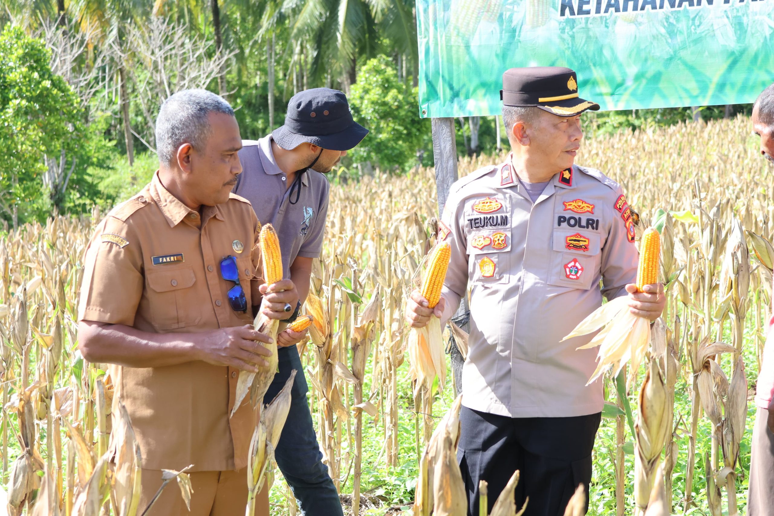 Polsek Sukajaya Polres Sabang Panen Raya Jagung di Gampong Jaboi