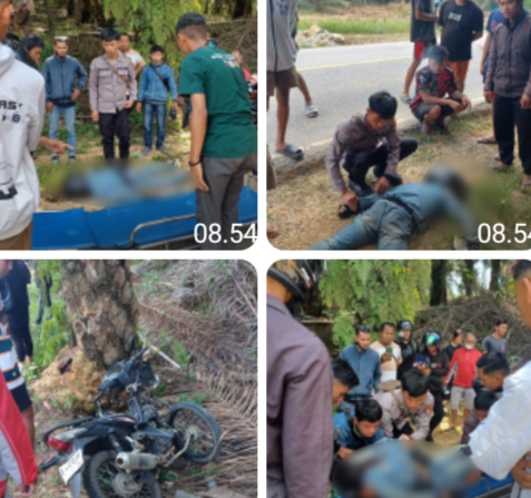 Kecelakaan Tunggal di Parindu, Pengendara Motor Tewas Usai Tabrak Pohon Sawit