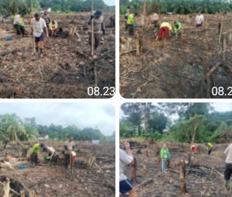 Gotong Royong Tanam Jagung, Polsek Tayan Hulu Perkuat Ekonomi Lokal