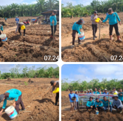 Sinergi Polisi dan Petani di Parindu, Satu Hektare Jagung untuk Masa Depan