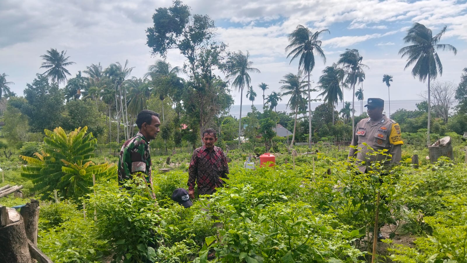 Babinsa Koramil 01/Sukajaya Bersama Bhabinkamtibmas Pantau Ketahanan Pangan di Gampong Beurawang