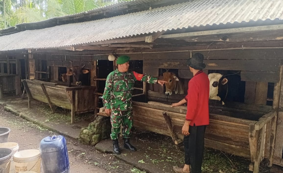 Melalui Komsos, Babinsa Koramil 02/Sukakarya Perkuat Ketahanan Pangan dari Sektor Peternakan di Gampong Batee Shoek