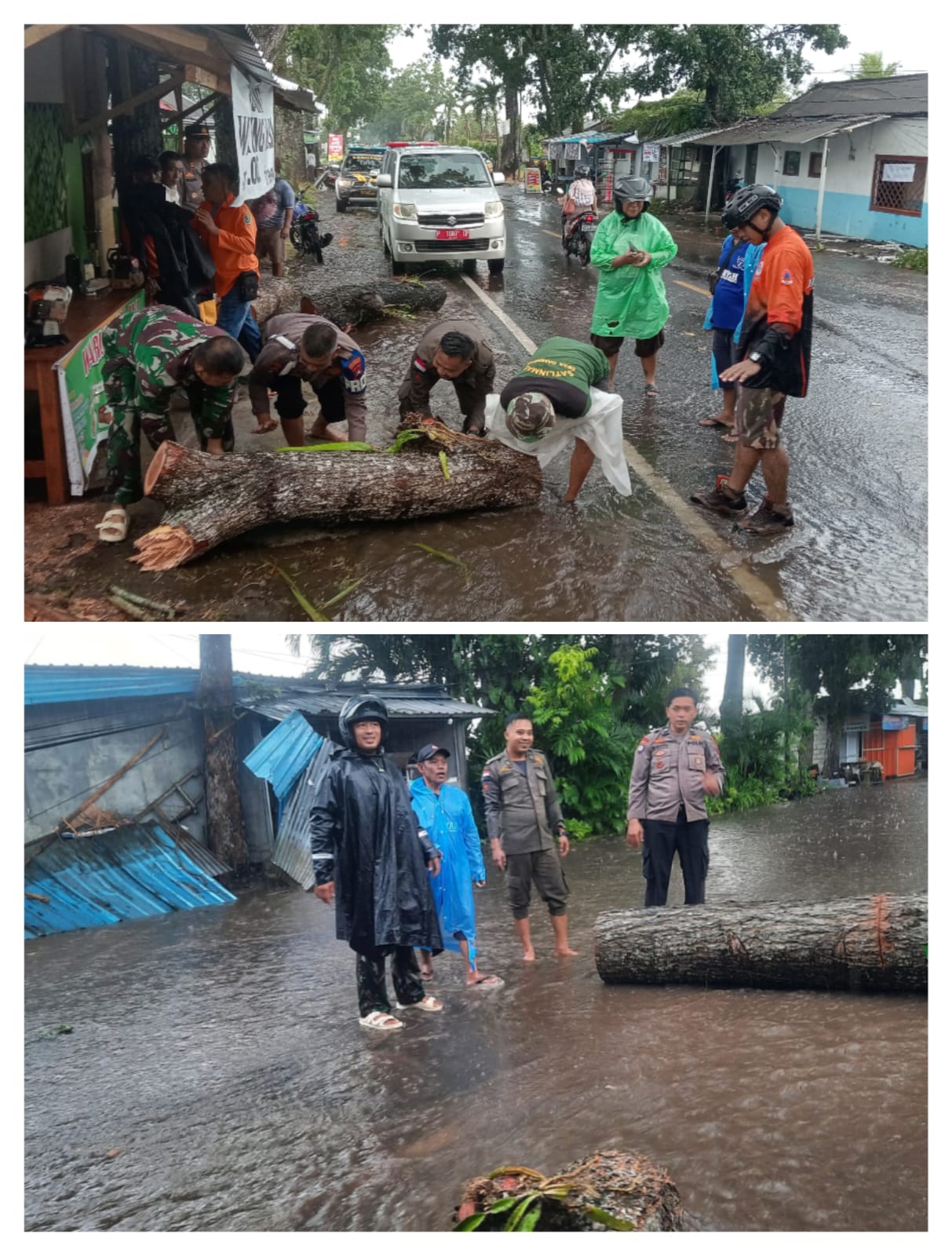 Angin Kencang Tumbangkan Pohon fi Desa Gambiran, Babinsa Desa Gambiran Koramil 0825/06 Gambiran bertindak Cepat Evakuasi Jalur