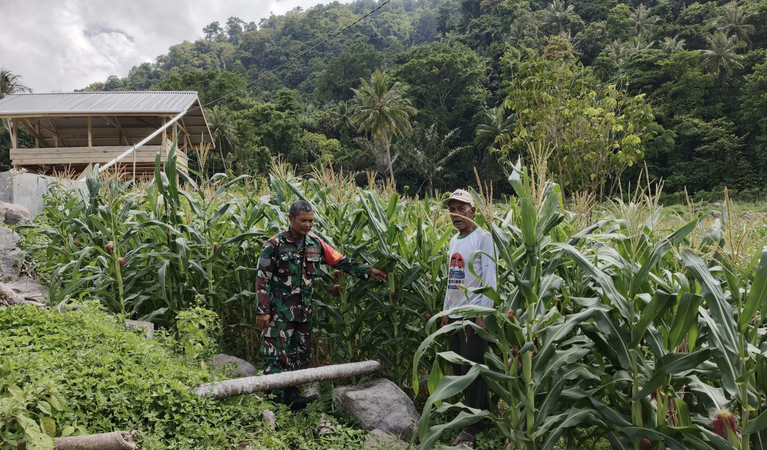 Babinsa Koramil 02/Sukakarya Dampingi Petani Jagung Paya Seunara, Perkuat Ketahanan Pangan Nasional