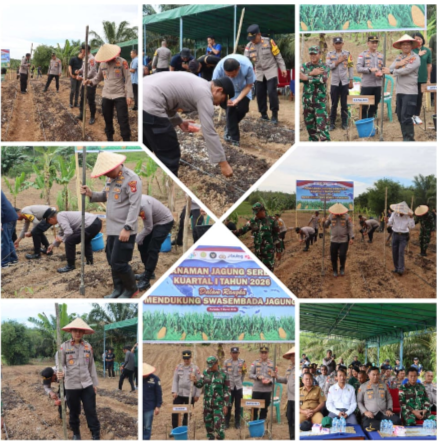 Kolaborasi Polri dan Masyarakat, Penanaman Jagung Serentak Kuartal I Tahun 2026 Warnai Program Ketahanan Pangan di Sanggau