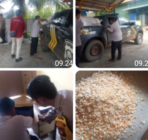 Dukung Swasembada Pangan, Jagung Hibrida Polsek Toba Resmi Masuk Gudang Bulog