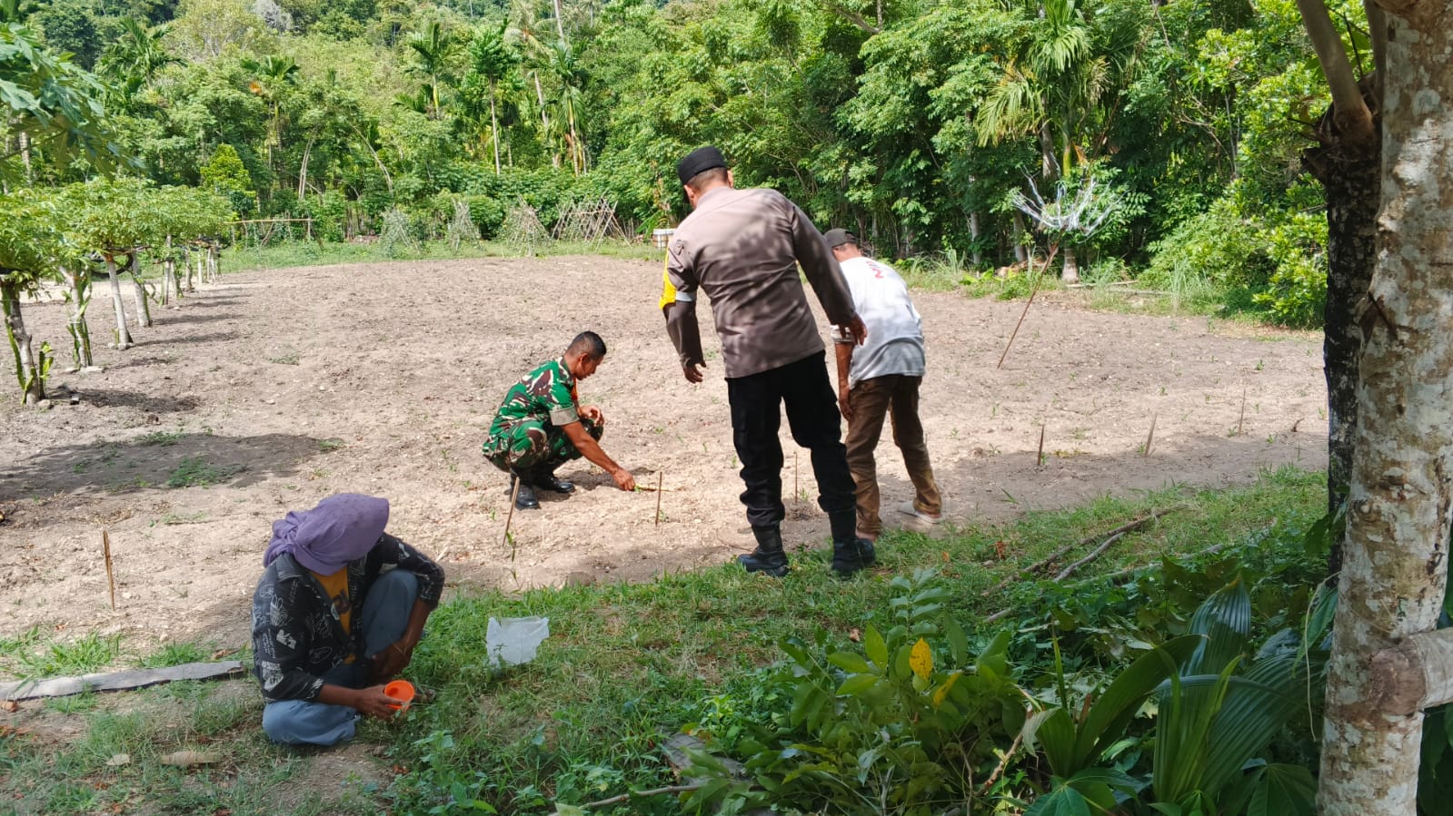 Bukan Sekadar Imbauan! Babinsa Koramil 01/Sukajaya Aktif Dampingi Kegiatan Ketahanan Pangan di Wilayah