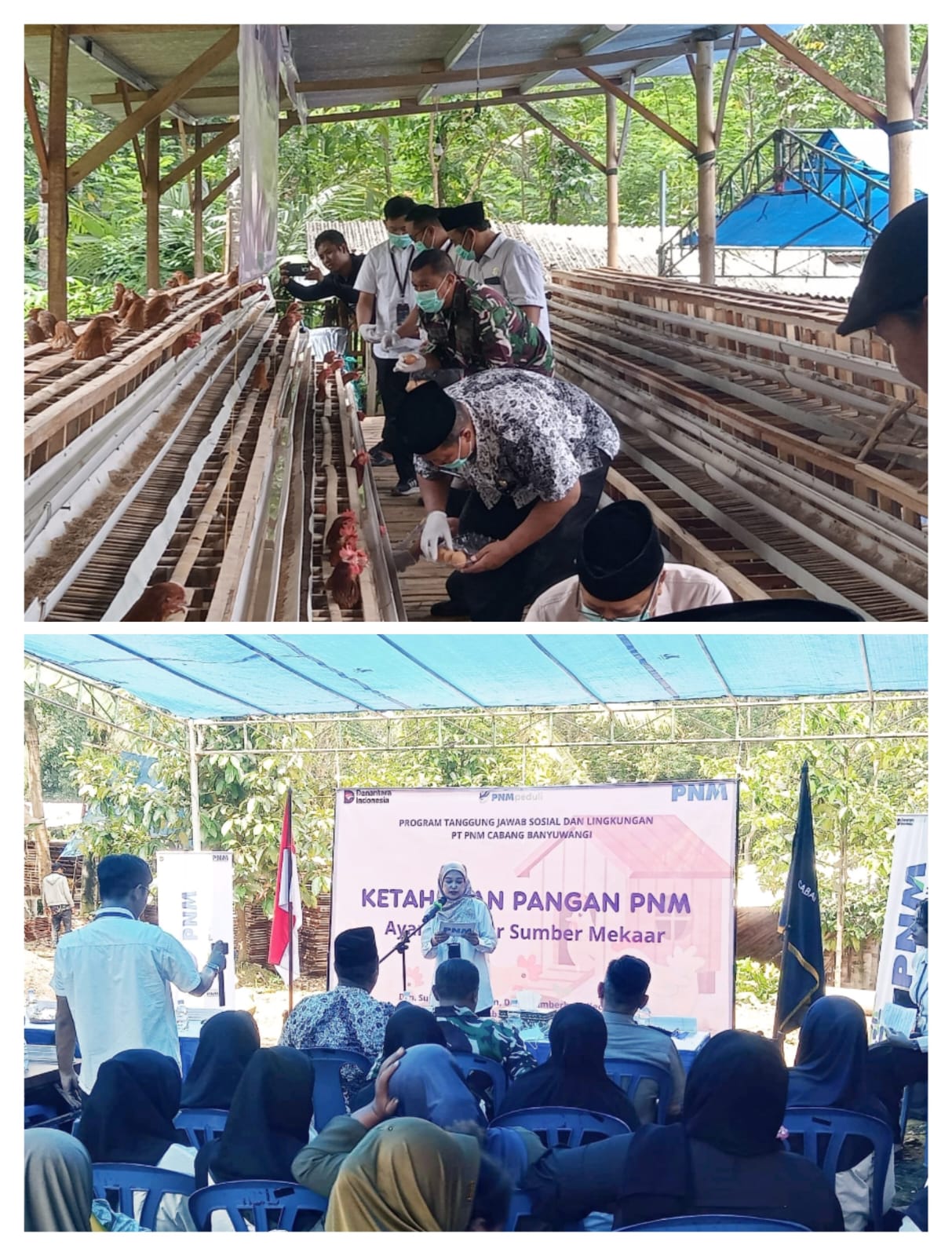TNI Hadir di Garis Terdepan: Koramil Songgon Kawal Peresmian Rumah Ketahanan Pangan Ayam Petelur Pertama di Kecamatan Songgon