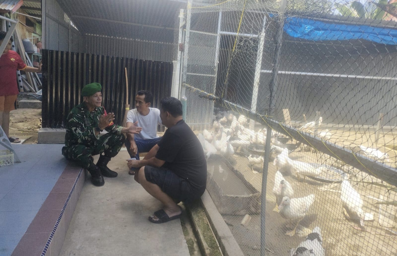 Cegah Kerugian, Babinsa Kuta Ateuh Edukasi Peternak Soal Gangguan Hewan