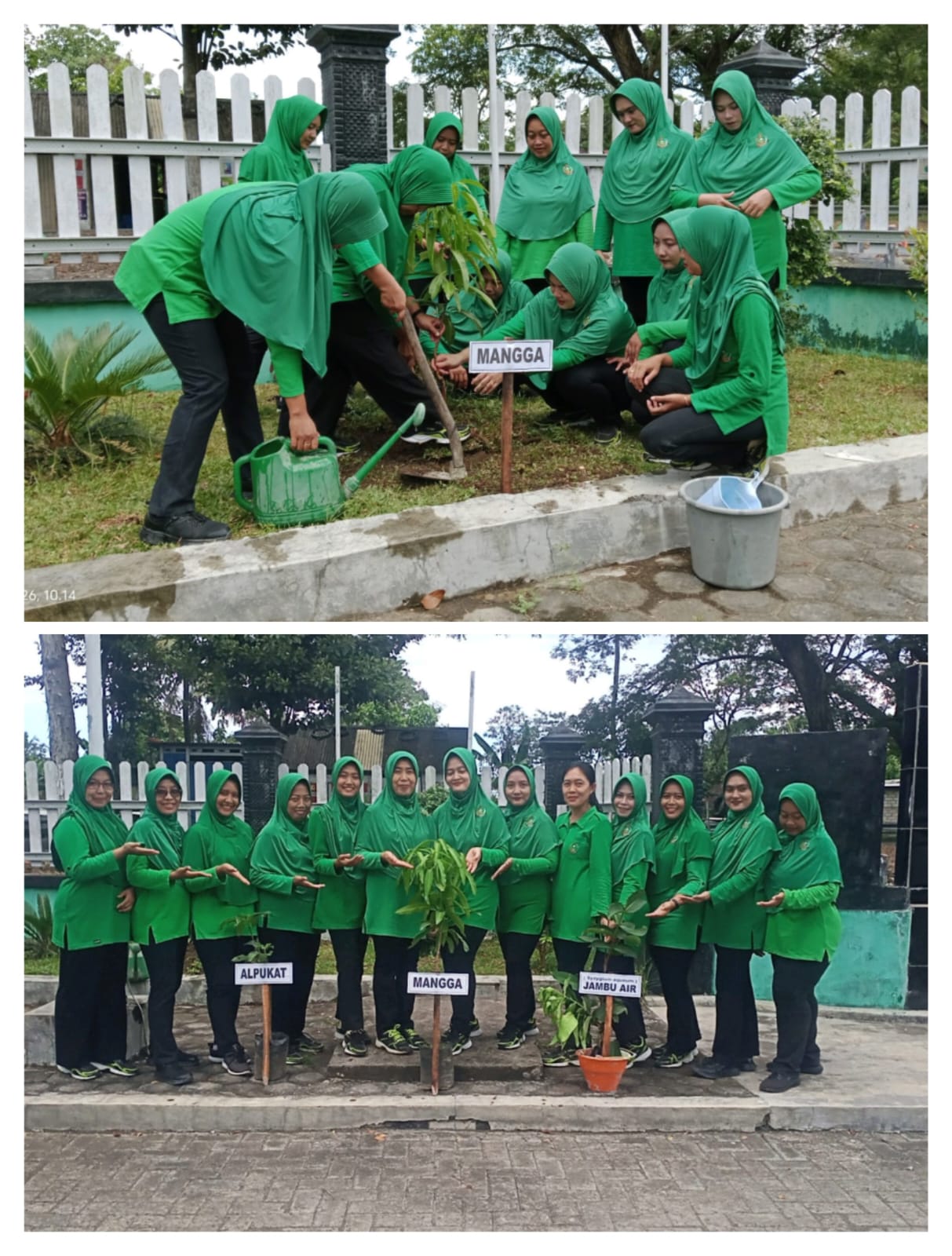 Peringati HUT Ke-80, Persit KCK Ranting 10 Koramil Tegaldlimo Hijaukan Lingkungan Melalui Aksi Tanam Pohon