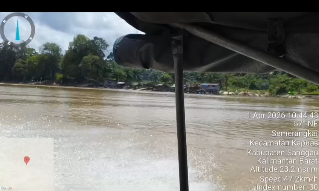 Sungai Kapuas Kembali ‘Diserbu’ Lanting Bermesin: Aktivitas Ilegal Diduga Terkoordinir, Aparat Diminta Bertindak Tegas