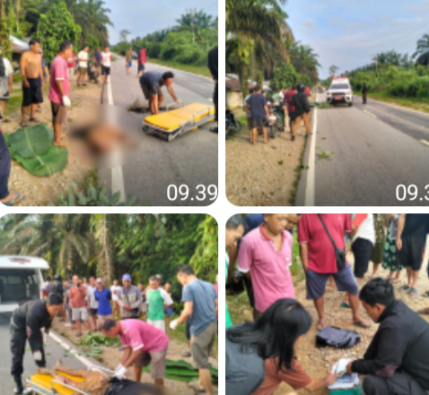 Pejalan Kaki Tewas Diduga Ditabrak Kendaraan Misterius di Parindu, Polisi Lakukan Penanganan Awal dan Penyelidikan