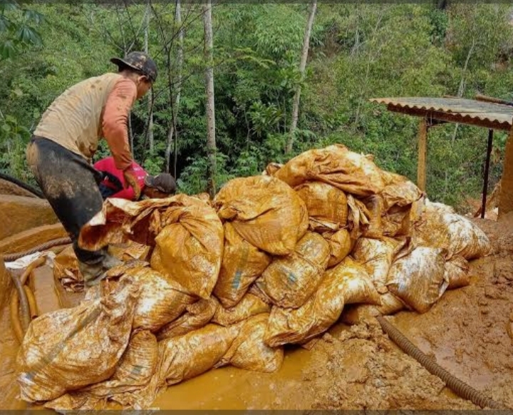 Tambang Ilegal Beroperasi di Desa Aer Mangga, Kades Diduga Lakukan Pembiaran