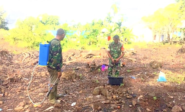 Babinsa Koramil 01/Sukajaya Aktif Dampingi Petani, Tanam Nilam Jadi Harapan Baru Tingkatkan Ekonomi Warga