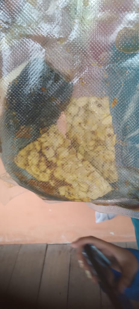 Diduga Langgar Standar MBG, Siswa SDN 013 Tembilahan Terima Ikan Lele Mentah dan Tempe Belum Dimasak