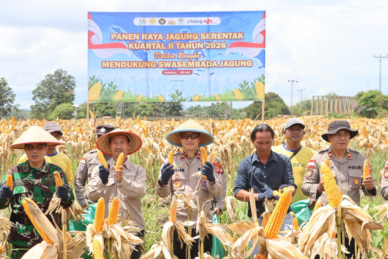 Panen Jagung Serentak Kuartal II 2026, Polres Sanggau Perkuat Swasembada Pangan