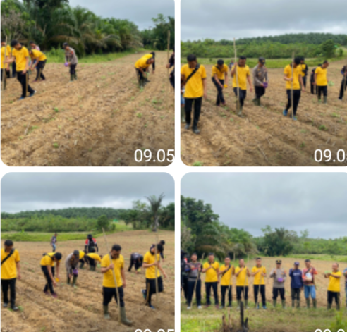 Dorong Swasembada Pangan 2026, Penanaman Jagung Tahap Kedua Desa Kenaman Digelar di Lahan TPKK