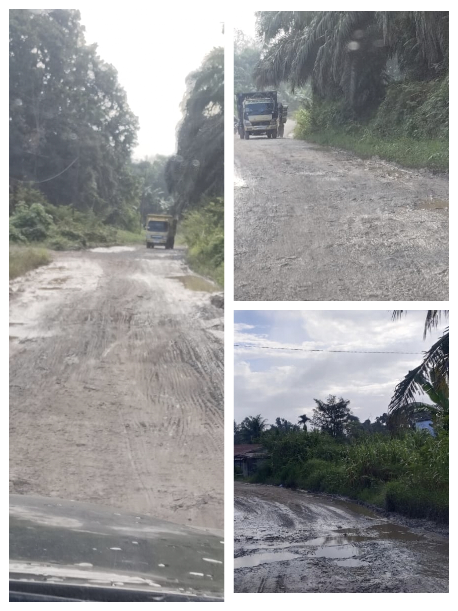 Jalan Bergelombang dan Becek, Perawatan PT MPE Disorot: Warga Bandingkan dengan PT Agro–BSL