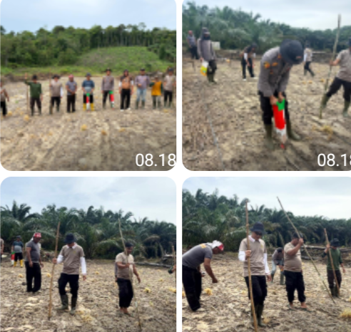 Sinergi Polisi dan Petani di Toba Sanggau Wujudkan Ketahanan Pangan Daerah