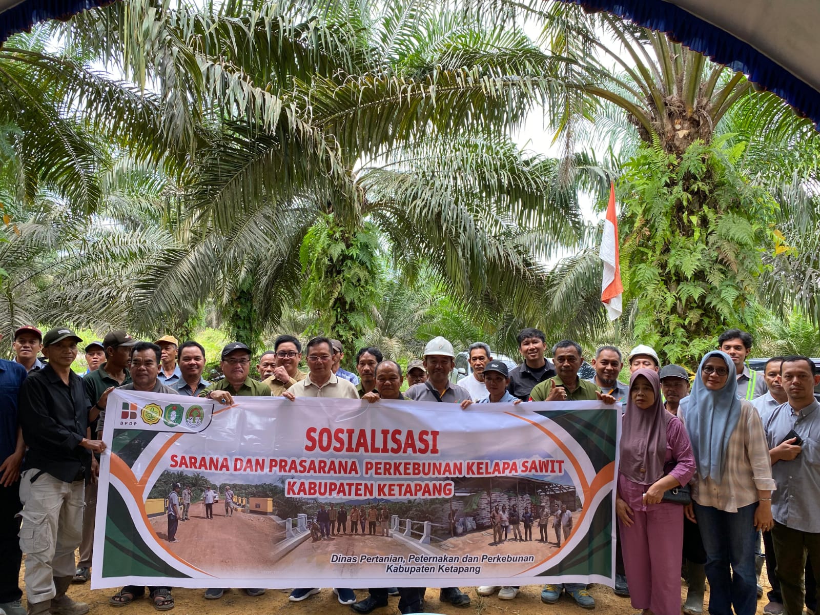 KLINIK BERDAYA SAWIT BGA REGION SEI MELAYU BEKALI ILMU BUDIDAYA UNGGUL BAGI 41 PETANI MANDIRI DI PENGATAPAN RAYA