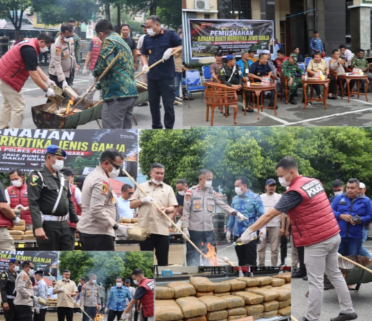 Pengabdian yang tulus selalu meninggalkan jejak. Kapolres Aceh Tenggara Pimpin Pemusnahan 161,9 Kilogram Ganja